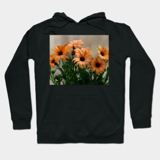 Pale orange flowers Hoodie